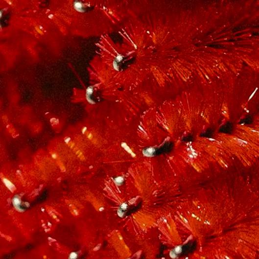 The Lash Glow Membership